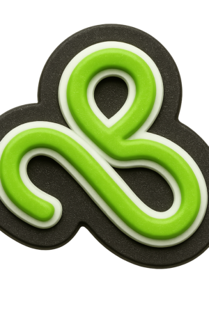 zodiac astrology leo signs croc charm jibbitz shoe accessory